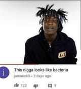 Bacteria 