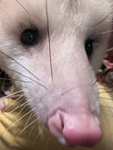Screenshot_20250416_180639_Grindr