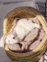 bun_lounge