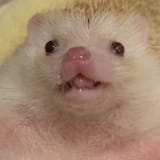 GNjKcvDWUAA6uyG