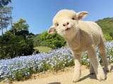images_-_2023-10-19T151207.323