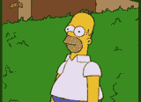 homer hedge