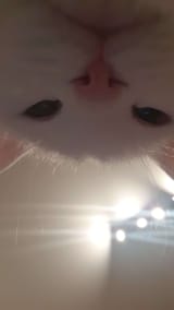 1340656375