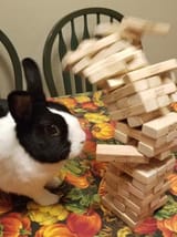 bnuy_jenga