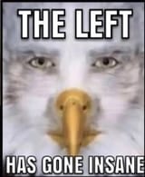 1679516955190331