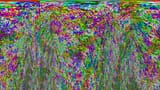 1794567455182