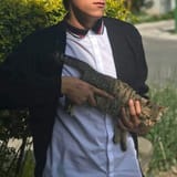 GOHUQ8Ea4AIJrex