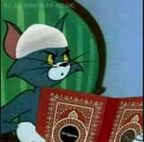 1733935932046998