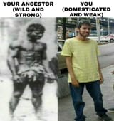 1716150715780821