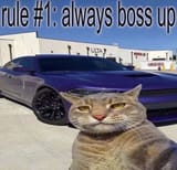 bossup