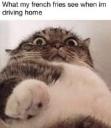 GfHWewIWMAErzyZ