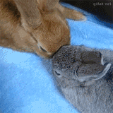 bun_NUZZLE