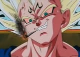 vegeta blunt