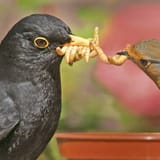 IMG_5146