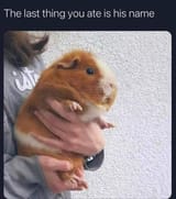 1751961828680626