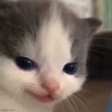 1752101690190834