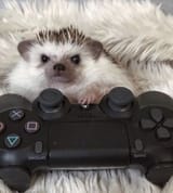 GVPg5W4WkAAN5zv
