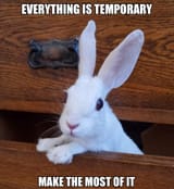 everything_is_temporary_make_the_most_of_it