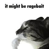 it-might-be-ragebait