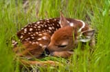nap-time-182686524_3008x2000