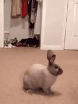 shocked-surprised