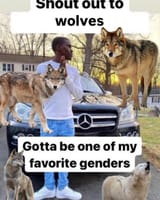 gender