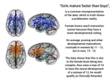 wombyn_brain