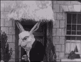 angry-rabbit