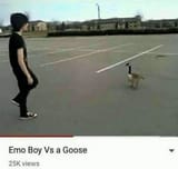 emovsgoose