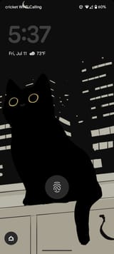 Screenshot_20250711-053724
