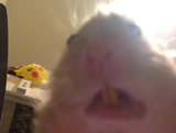 1545718316186
