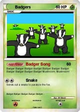 pokebadger