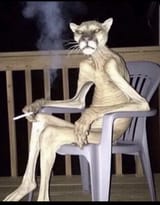 20250301_144503