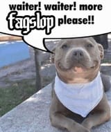 waiter fagslop