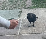 1708918954953514