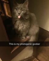 GjrmgXvbAAEK1nn