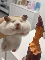 Me_being_fat