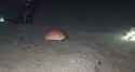 crablight_thumb.jpg