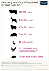 How-many-animals-get-slaughtered-for-meat