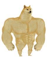 Swole_Doge