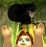 linkgatto