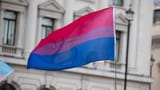 Wisconsin-Pride-The-History-of-Bi-Activism-in-Wisconsin-Bi-Pride-Flag