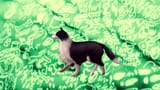 thisolddog