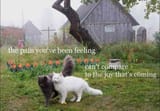 FB_IMG_1719870376081