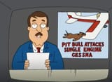 pitbull attacks cesna