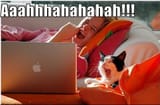lol cat 