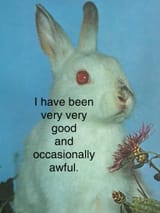search_68732318c313e0b7d4e8bca2
