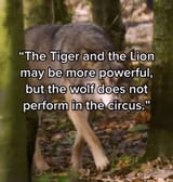 circus