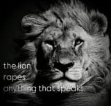 problematic lion