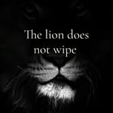 the-lion-memes-18